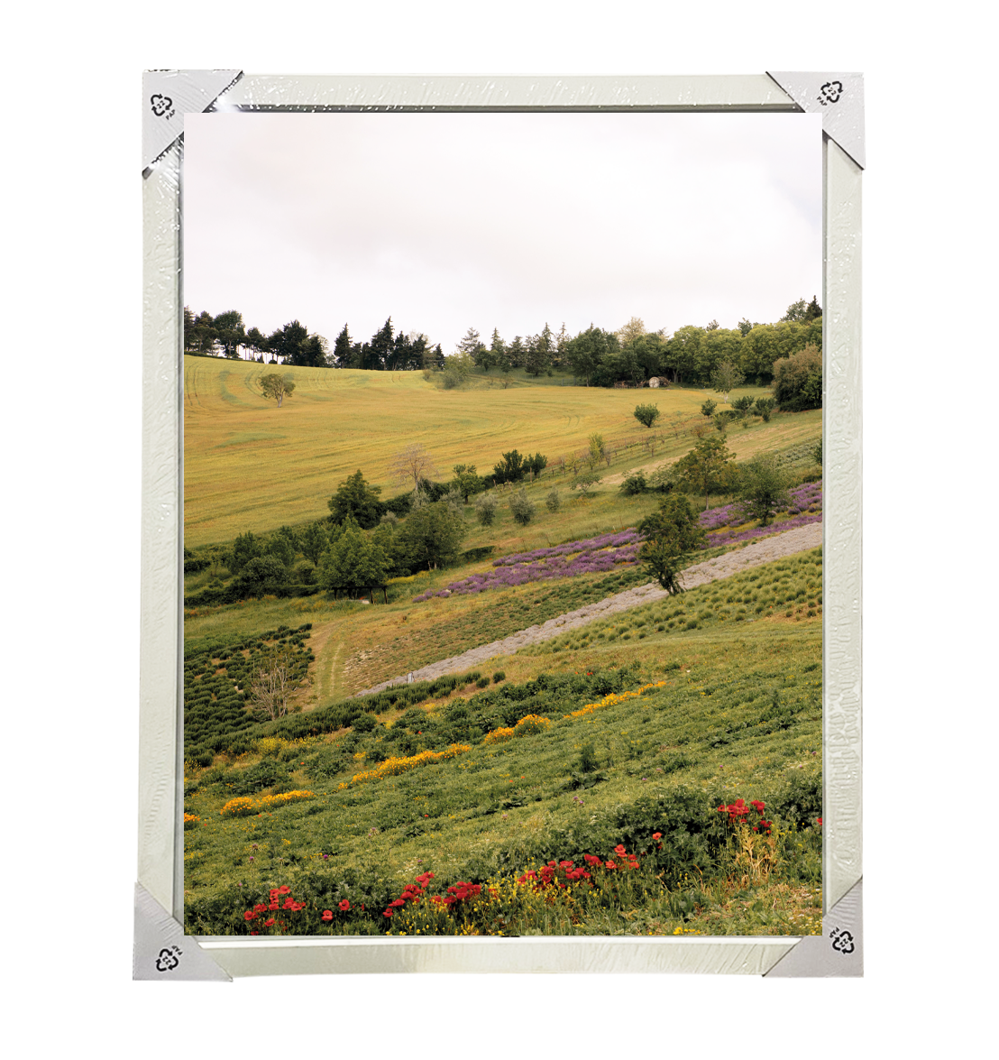 Oway Wooden Frame Poster / กรอบรูป