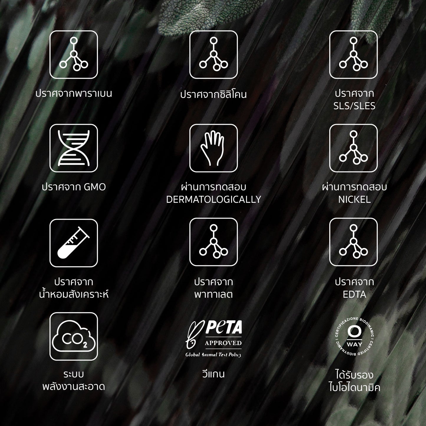 AFTER SUN HAIR MASK มาส์ก ไบโอไดนามิค ฟื้นฟู บำรุงเส้นผมอย่างล้ำลึก