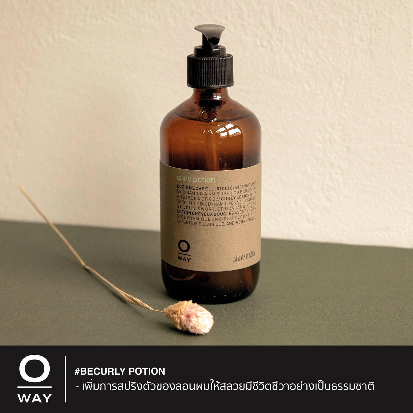 CURLY POTION ครีมไบโอไดนามิคสำหรับจับลอนผม ให้ลอนผมสลวยอย่างเป็นธรรมชาติ