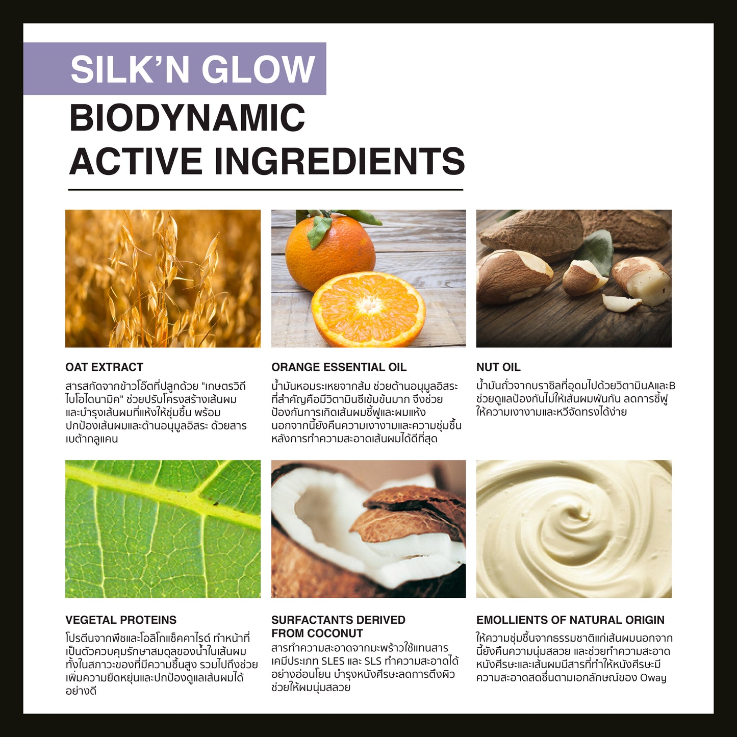 SILK'N GLOW HAIR MASK มาส์กไบโอไดนามิค ช่วยบำรุงเส้นผมให้นุ่มลื่น เงางามทันที